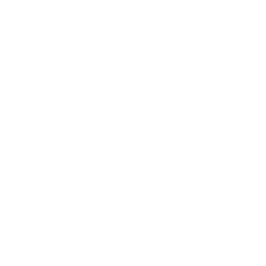 LOGO 04